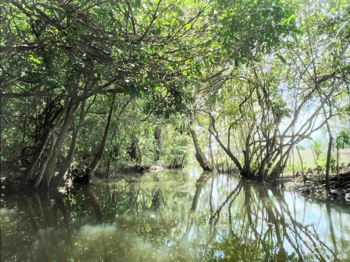 Tortugal Boutique River Lodge Rio Dulce Town Εξωτερικό φωτογραφία