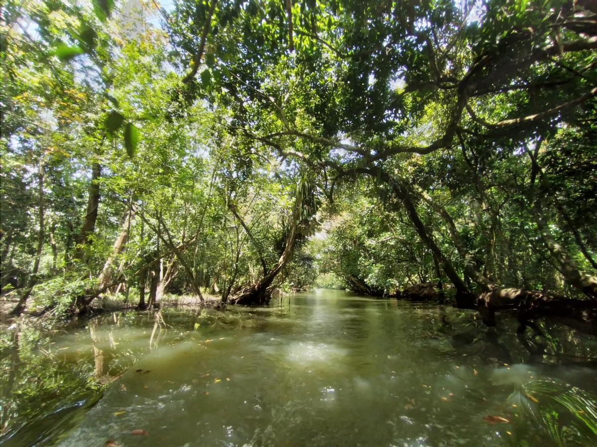 Tortugal Boutique River Lodge Rio Dulce Town Εξωτερικό φωτογραφία