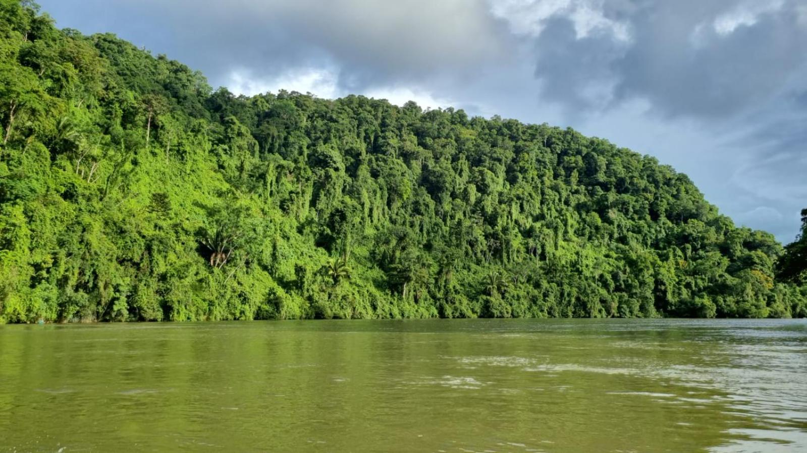 Tortugal Boutique River Lodge Rio Dulce Town Εξωτερικό φωτογραφία