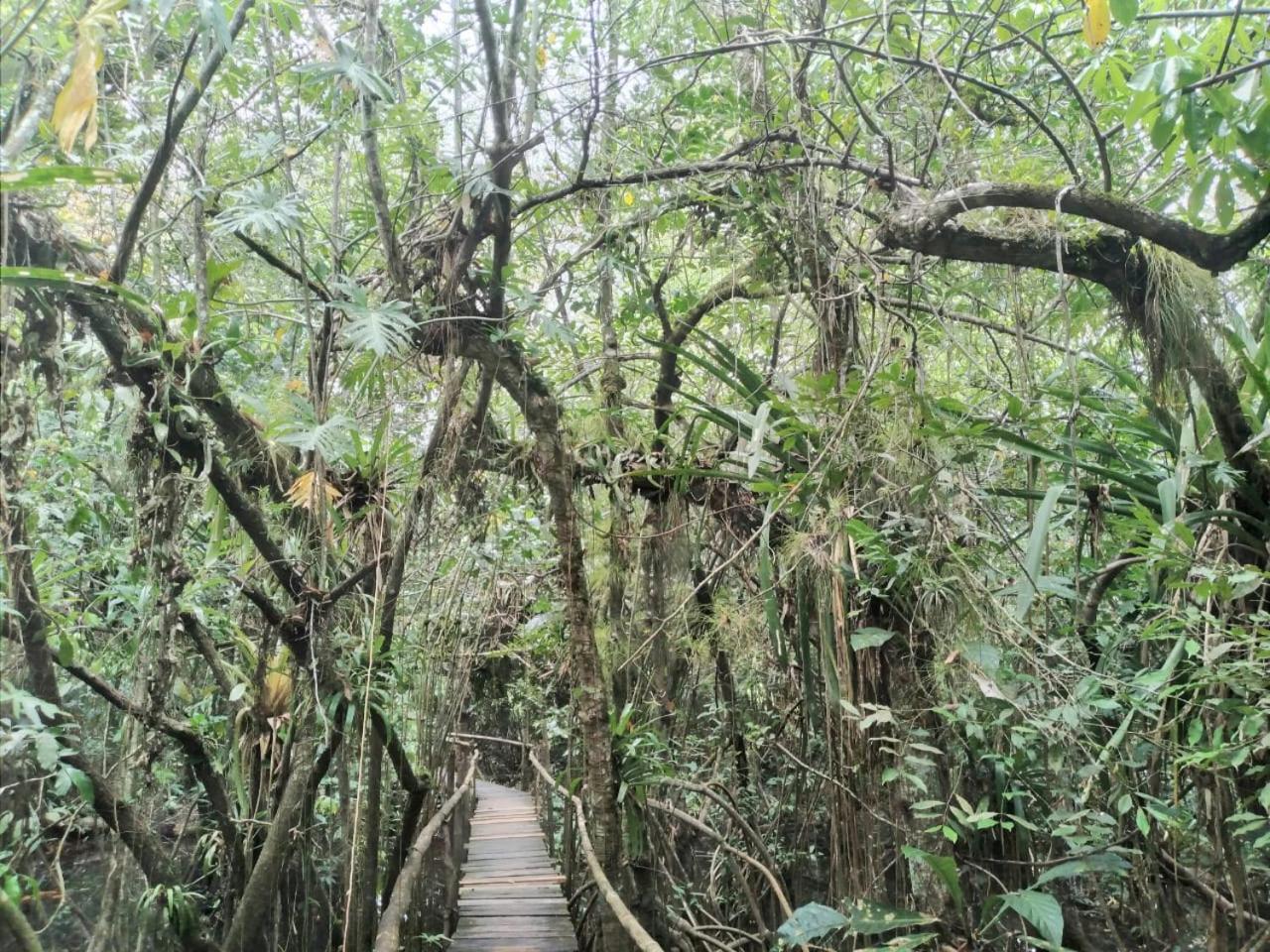 Tortugal Boutique River Lodge Rio Dulce Town Εξωτερικό φωτογραφία