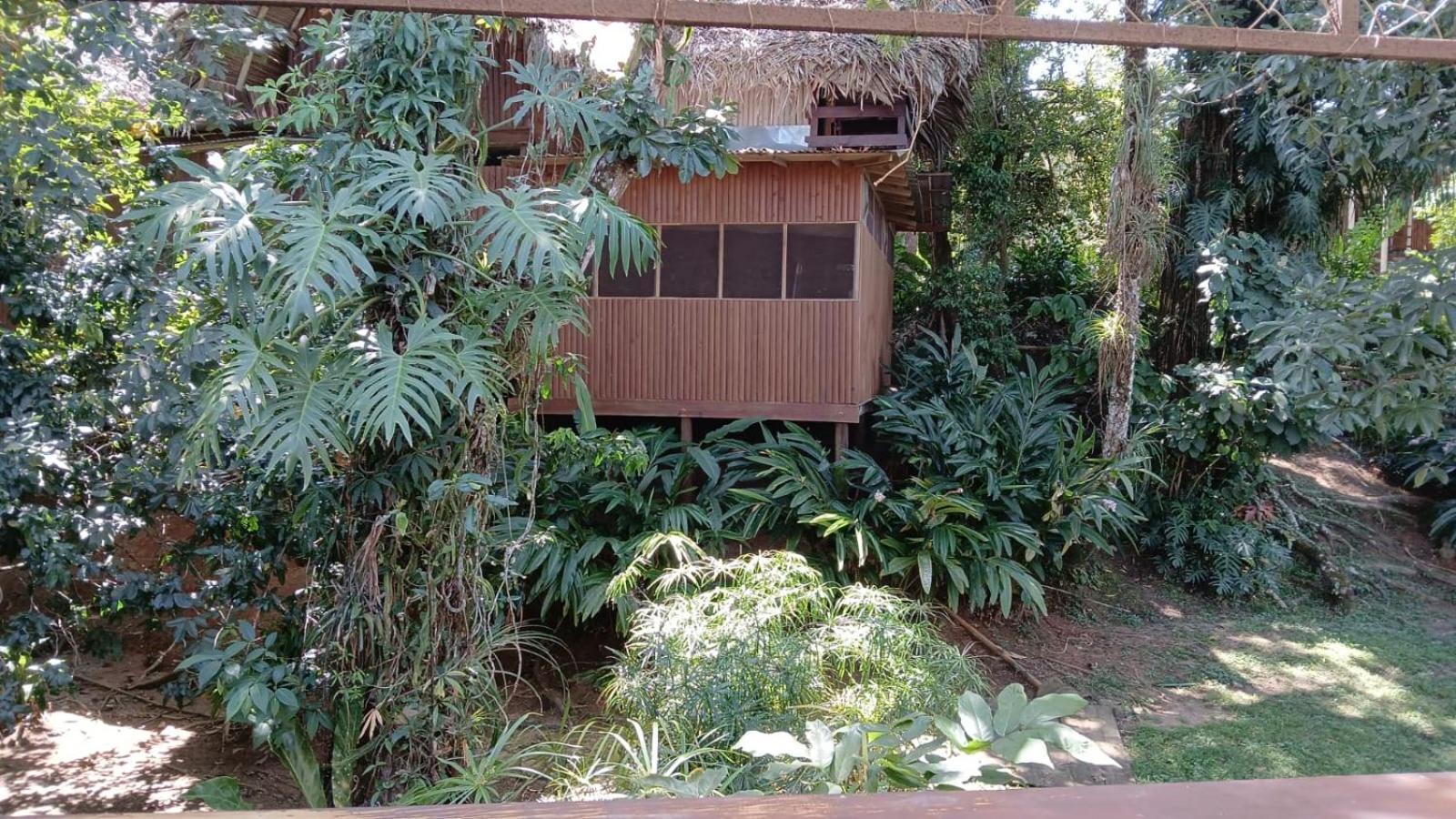 Tortugal Boutique River Lodge Rio Dulce Town Εξωτερικό φωτογραφία